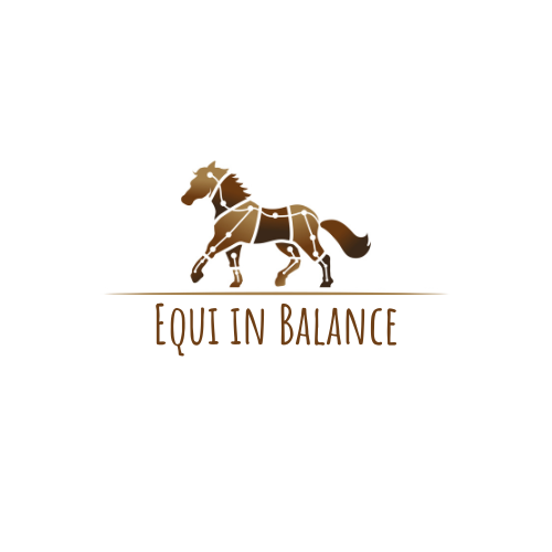 Equi in Balance